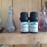 Angélique (Herbe aux anges, Herbe du Saint-Esprit) huile essentielle 5 ml.
